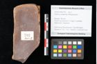 Foto (Objekt + Etikett) von Quercus palaeoilex Ettingshausen (NHMW-GEO-2024-0188-0793)